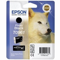 Epson Tinte (T0961) photo schwarz für R2880